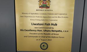 Opening of the Fish hub