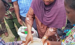 Food stuffs Distribution