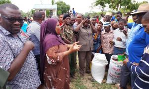 Food stuffs distribution