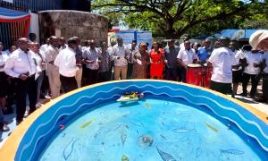 World Fisheries Day