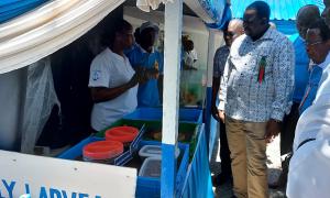 World Fisheries Day
