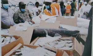 Fishermen at the port 
